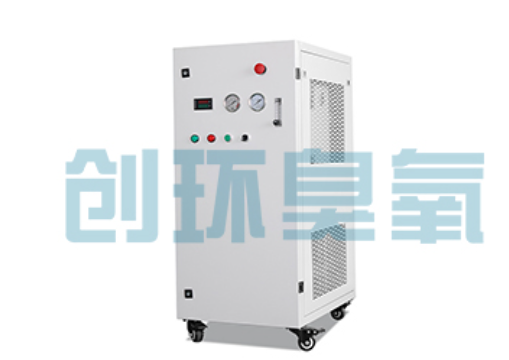 濮阳石斑鱼养殖水质调控完整指南：臭氧发生器配置与操作步骤