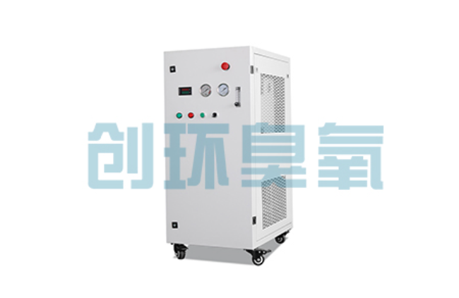 濮阳比传统换水更高效？臭氧发生器在石斑鱼养殖中的水质净化原理解析